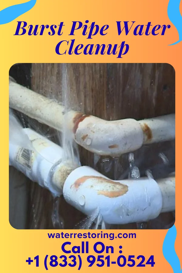 Burst Pipe Water Cleanup in Richland, MI