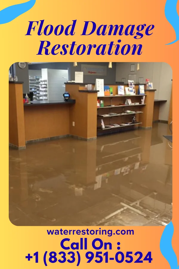 Flood Damage Restoration in Richland, MI