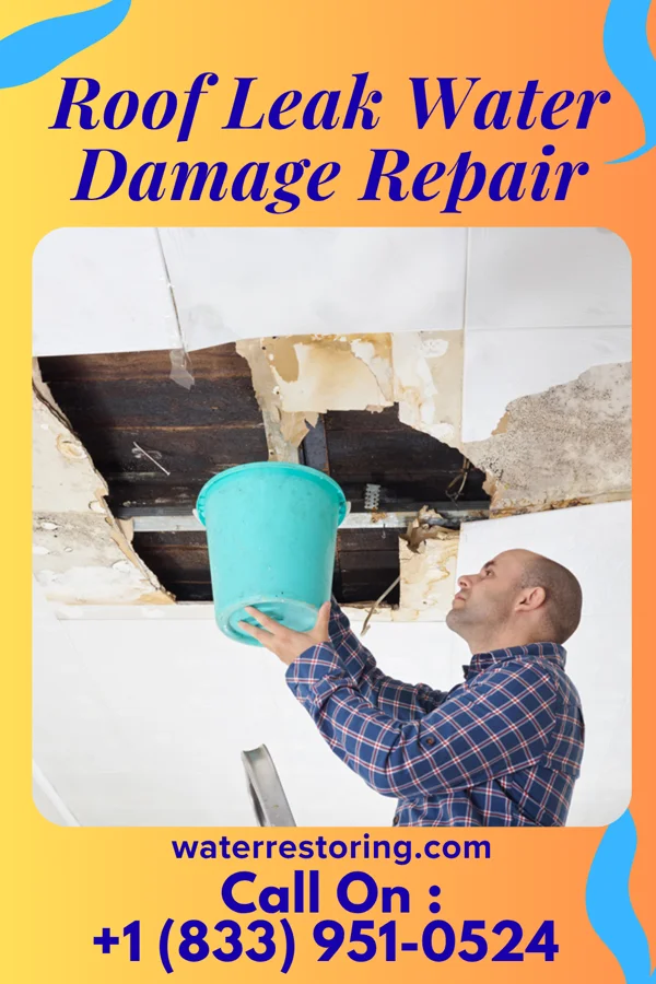 Roof Leak Water Damage Repair in Richland, MI